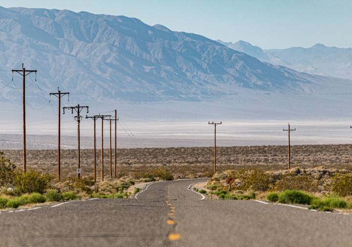 La planta del Valle de la Muerte que vence al calor y ofrece la clave para adaptar los cultivos al cambio climático