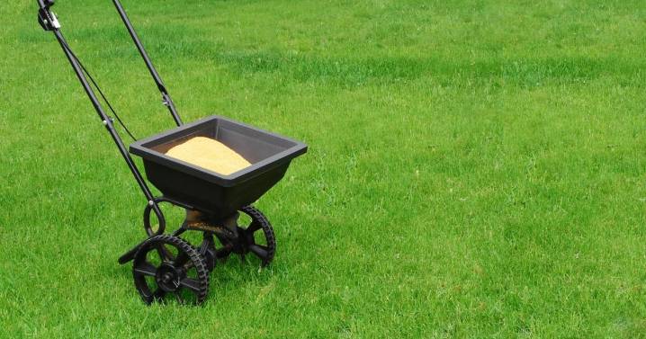 Things to do in the garden this week