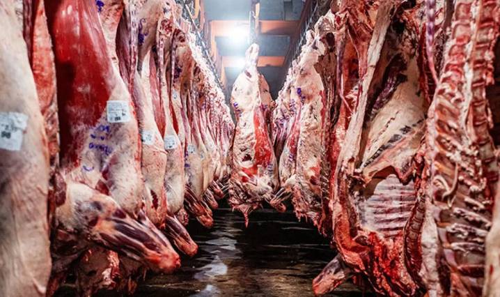 Exportación de carne: aunque no subió en volúmen, por la mejora del precio las ventas crecieron casi 40%