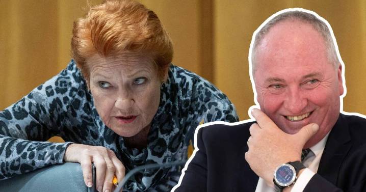 One Nation leader Pauline Hanson is pursuing Barnaby Joyce