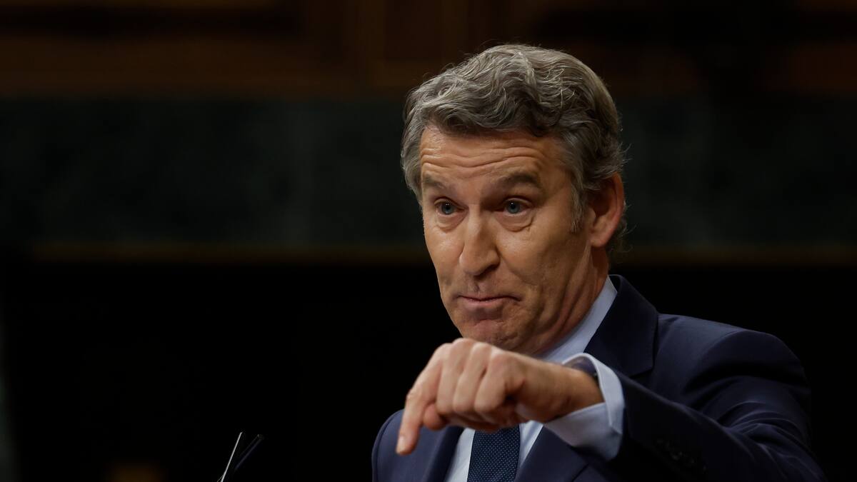 Feijóo vuelve a pedir a Sánchez que convoque elecciones: "Lo que ofrece son mentiras, corrupción y deslealtad"