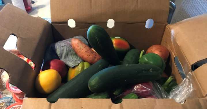 'Emergency' drive-through food distribution event to be held at John Prince Park in Lake Worth Beach on Nov. 7