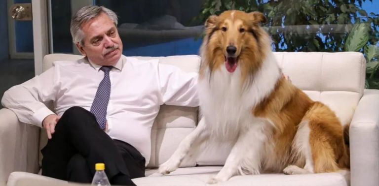 Falleció Dylan, el perro de Alberto Fernández: "Aunque tal vez nunca te lo dije"