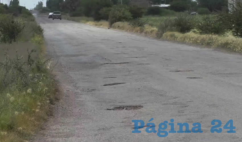 Mi Jardín de Flores