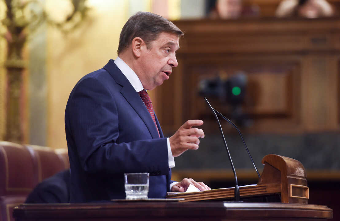 Planas llama a mantener la calma frente a la gripe aviar y subraya la importancia de la vigilancia