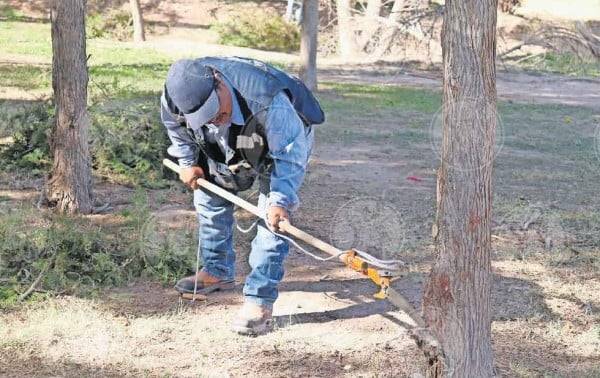 Interesan a juarenses talleres gratuitos de poda