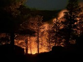 Wildfire between Boulder Canyon and Flagstaff extinguished overnight