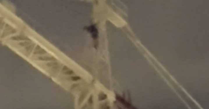 Adelaide: Teen who climbed crane 20 storeys high arrested after eight