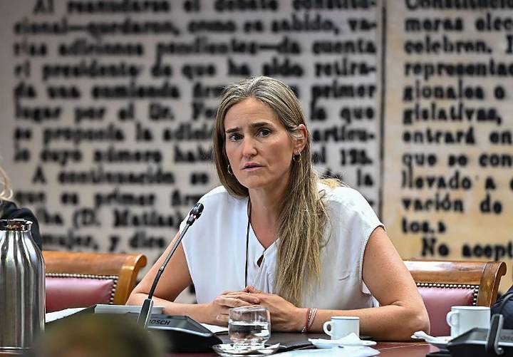 El Gobierno eleva la retribución a las renovables para salvar su rentabilidad por la caída de los precios de la luz