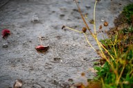 Rain to drench Portland this weekend, with gusty winds and high surf