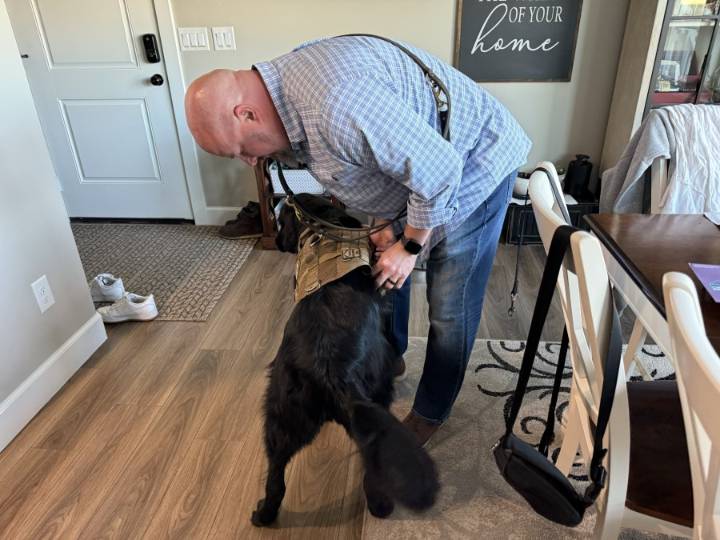 Battle buddies: K9s help heal the hidden wounds of war