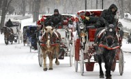 Nueva York tumba un proyecto de ley para vetar los carruajes con caballos