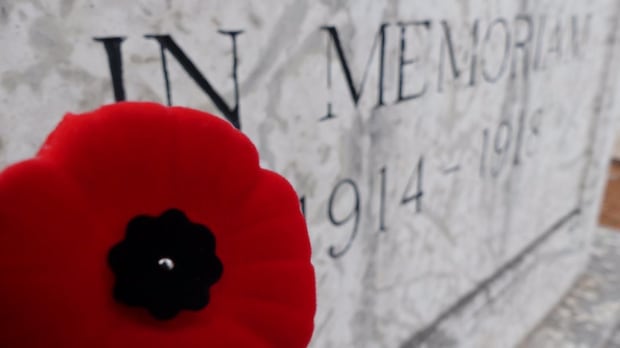 Manitobans mark Remembrance Day at RBC Convention Centre ceremony
