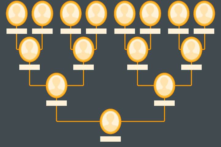 Why pricing fits the family tree for some wealth management firms