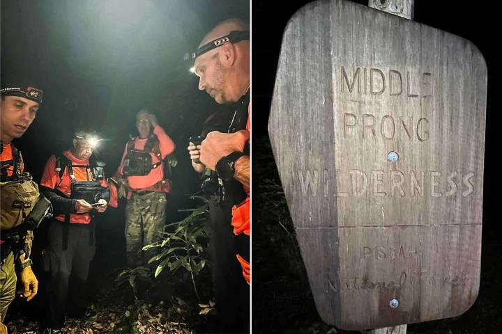 Fisherman Emerges from Forest One Day After Disappearing in Wilderness