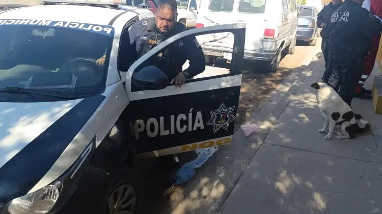 Accidentes viales dejan volcamiento y pérdidas por 50 mil pesos en Nogales