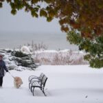 Strong winds can bring gale warnings to communities near water. Here’s what that means