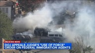 Appeals court temporarily blocks restrictions on use of force by federal immigration agents in Chicago area