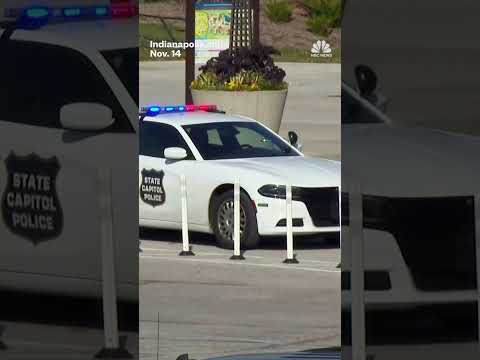 A chimp was safely returned to her exhibit after escaping her enclosure at the Indianapolis Zoo