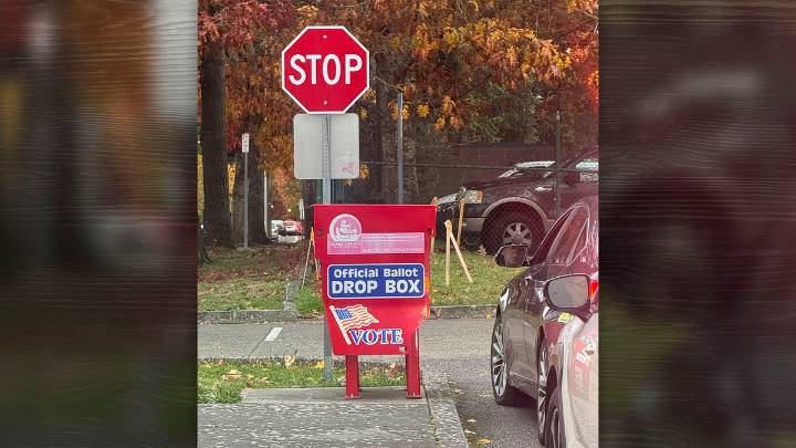 Initial results of the Nov. 4 general election show a low turnout of voters