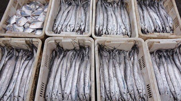 China to suspend imports of Japanese seafood in latest escalation over Taiwan comments