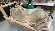 Newly Designated Wyoming Dinosaur ‘Mummy Zone’ Could Hold A Perfect T. Rex