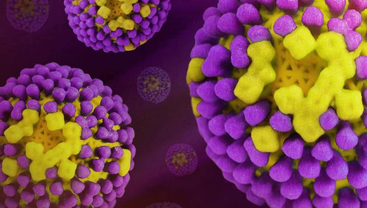 Washington State Resident Dies After Becoming First Person To Catch H5N5 Avian Flu