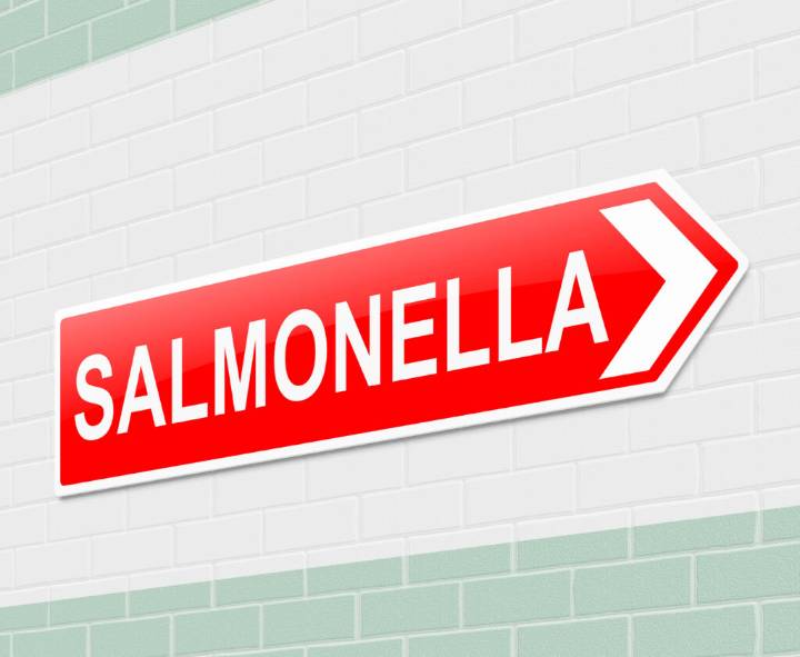 64 Interesting Facts About Salmonella Bacteria: More Than You Ever Thought You Wanted to Know!