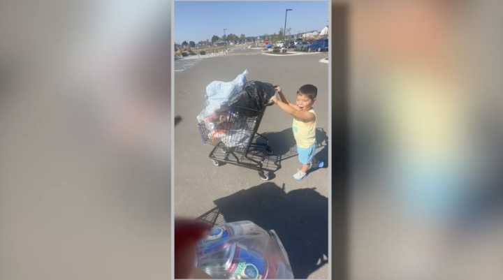 4-year-old Oxford boy raises $2,000 for homeless dogs through can collecting project