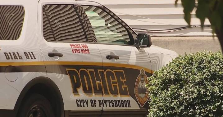 Pittsburgh police officer charged with assault after alleged domestic incident in Dormont