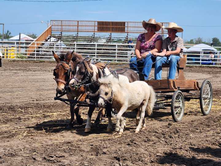 Austin’s Thresherman’s Reunion nominated for Festival of the Year