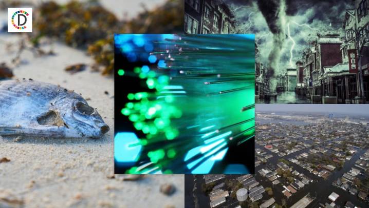 Belem Climate Talks: Uniting Humanity for a Greener Future