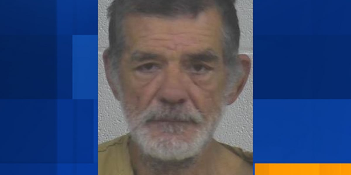 Man arrested after throwing rocks at passing vehicles