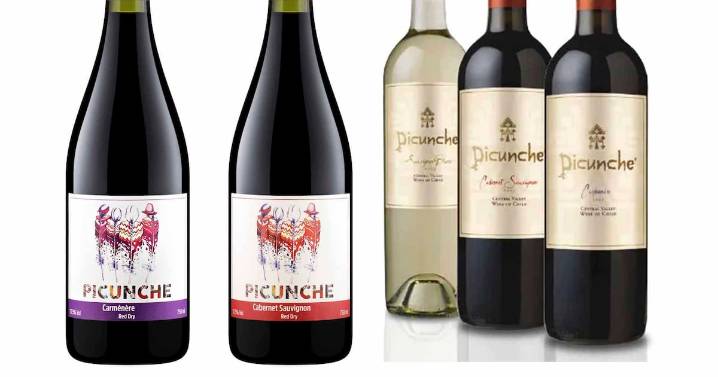 La disputa marcaria por el vino “Picunche” exportado a Rusia