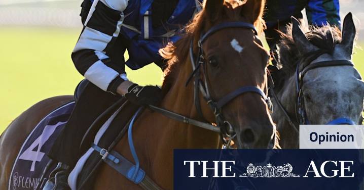 Melbourne Cup 2025: Why Vauban will win the race on his third attempt