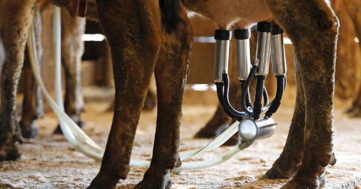 IDPH issues warning after sickness cases linked to raw milk consumption