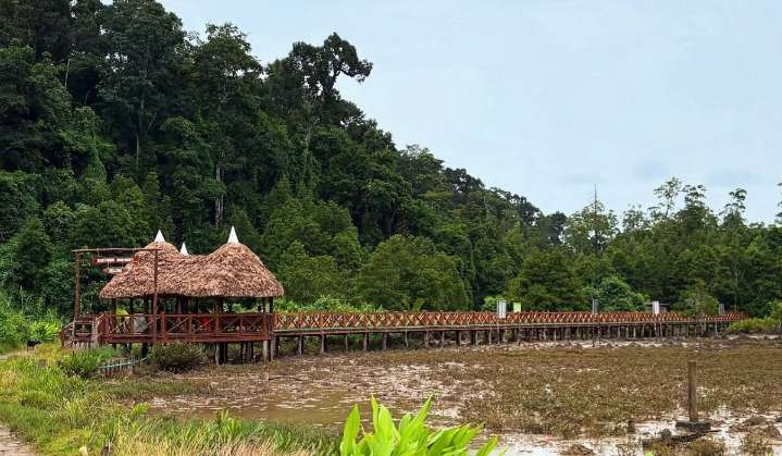 Mangrove Walk at Shoal Bay on Nov. 8 to Promote Eco-Guiding and Sustainable Tourism