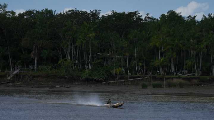 Railway project in the Amazon raises questions over Brazil's efforts to stop deforestation