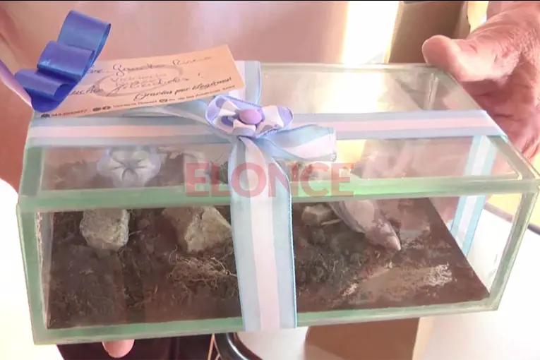 Veteranos entregaron turbas, tierra y cucharas de mar de las Islas Malvinas a la escuela Gaucho Rivero