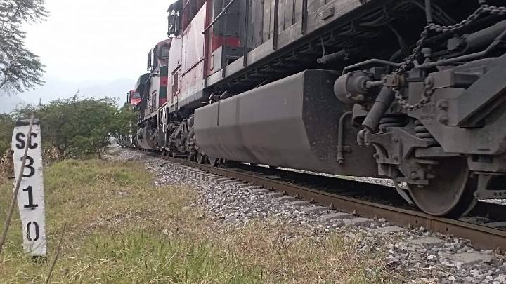 Hombre muere tras ser golpeado por el tren en Nogales