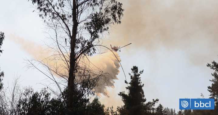 50% de los incendios forestales en la Región del Bío Bío son intencionales, advierte Corma