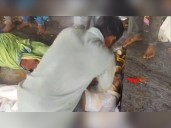Andhra Temple Tragedy: Panic, CPR Attempts Caught on Camera After Deadly Stampede