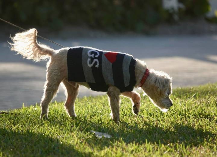 ‘Impressive’ cold blast hitting Florida next week