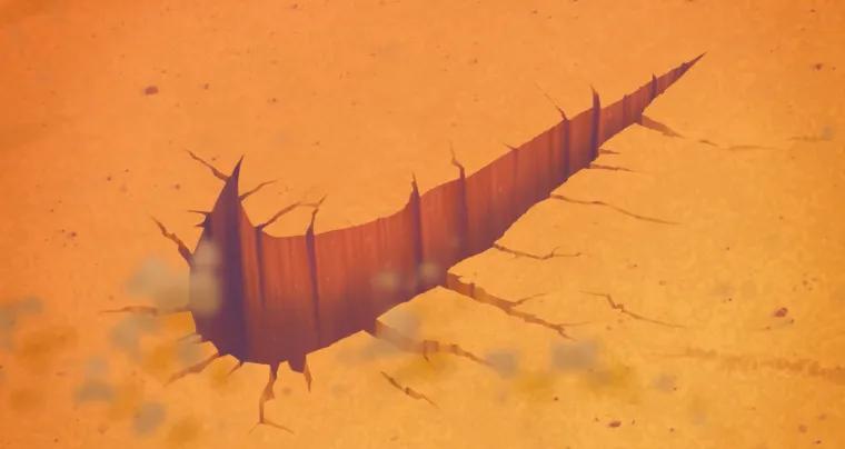 Black Friday Nike deals drop: Big savings on running shoes and fan apparel