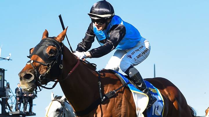 Why every runner can and can't win this year's Melbourne Cup