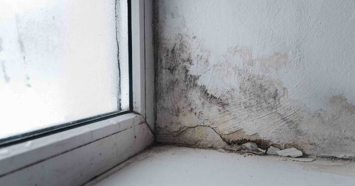 Expert shares easy and free hack to cut condensation by 90%