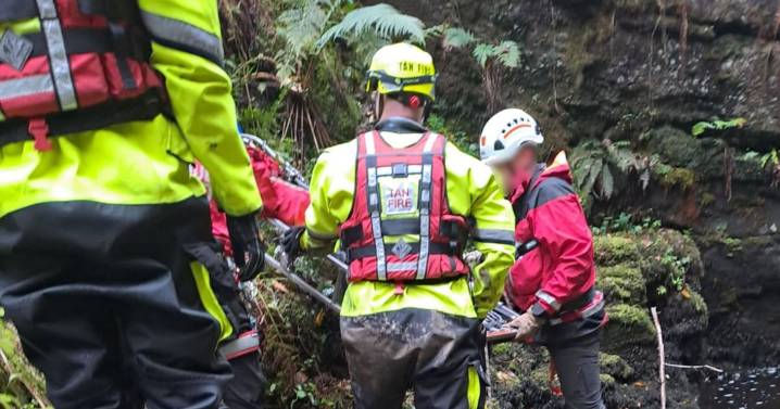 Mum trapped for five hours with broken ribs and pelvis after fall saving dog