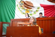 Urge que municipios cumplan con Reglamentos de Bienestar Animal: Blanca Águila