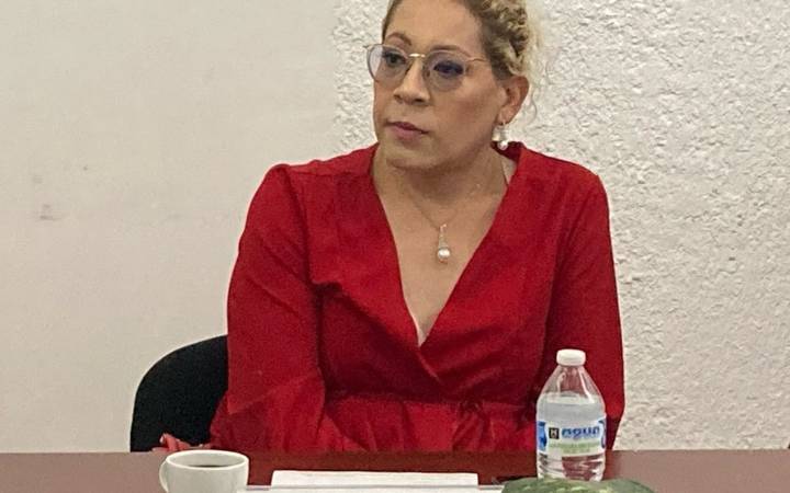 Jullie Carrillo renuncia como regidora de Villa de Pozos