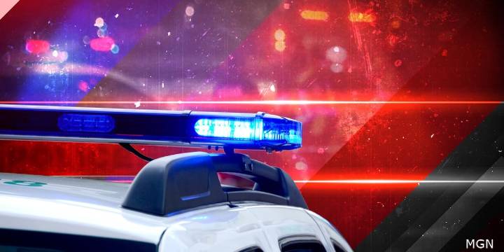 Two juveniles in custody after carjacking leads to pursuit across three Midlands counties